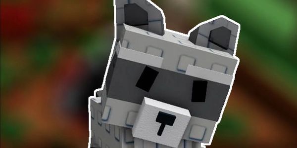RACCON - GROW A GARDEN