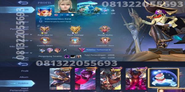 ML account Sultan skin legend 4 almost 5 limited skins many