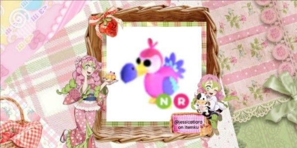 dodo (extinct)