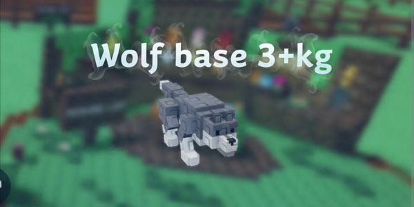Wolf Base 3+kg
