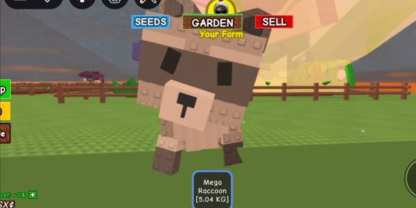 MEGA RACCON + BONUS - GROW A GARDEN