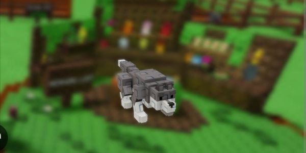 Wolf random weight