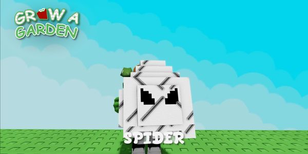 Spider