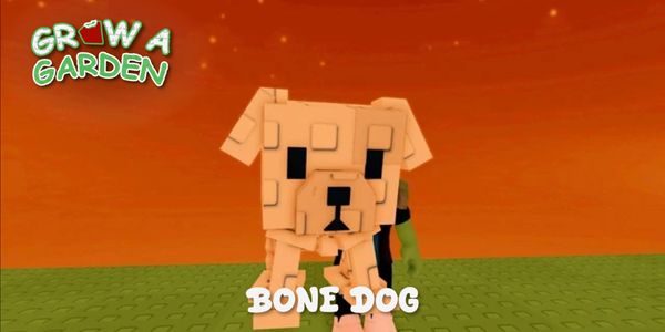 Bone Dog