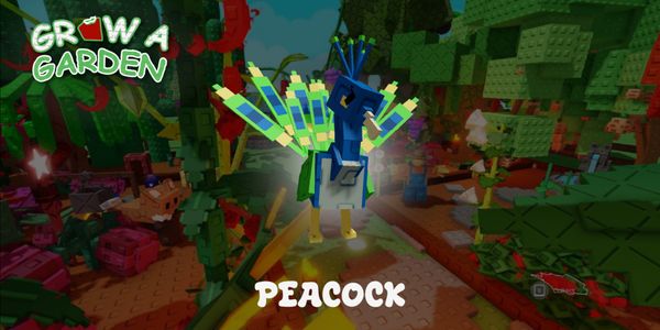 Peacock