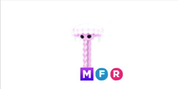 Jellyfish mfr