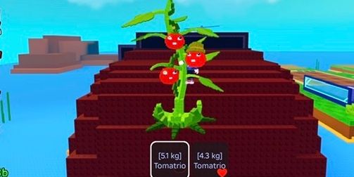 Big Tomatrio Random dps +Bonuss| Plants Vs Brainrot