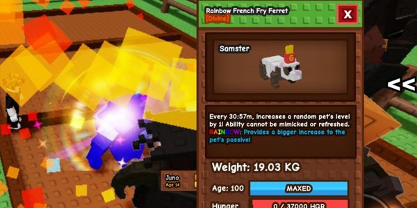 RAINBOW FRENCH FRIES FERRET AGE MAX READY TO USE