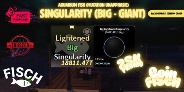 Singularity