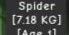 TITANIC SPIDER BASE 7KG सबसे सस्ता नया SPOOKY PET इवेंट