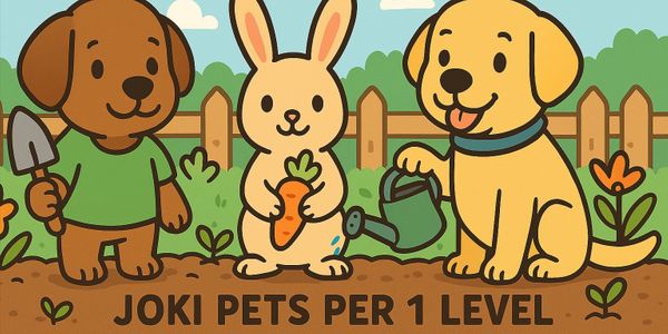 Joki Age Pet Per 1 Level