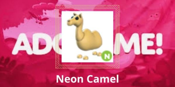 Buy Pet Neon Camel Adopt Me Trading Hub 3882649 | itemku