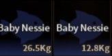 Baby Nessie