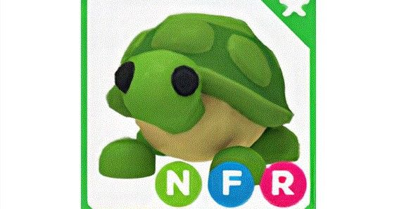 Turtle NFR Neon Fly Ride