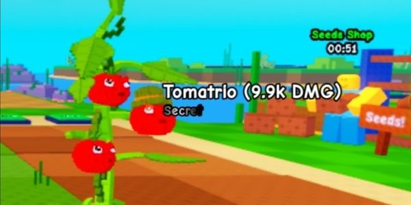 Tomatrio 9.9k DMG