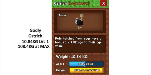 Godly Ostrich 10KG