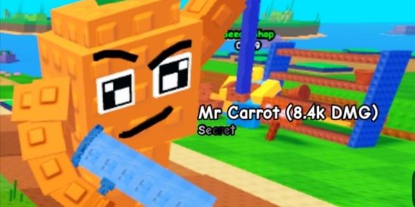 Mr. Carrot 8.4k DMG