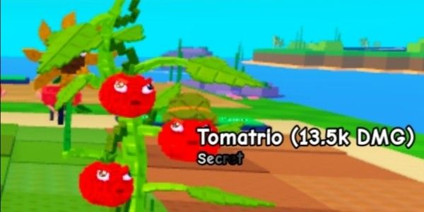 Tomatrio 13.5K DMG