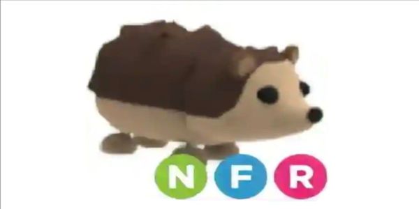 Hedgehog nfr