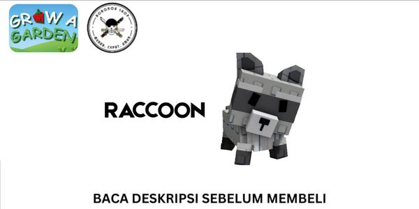 Raccoon