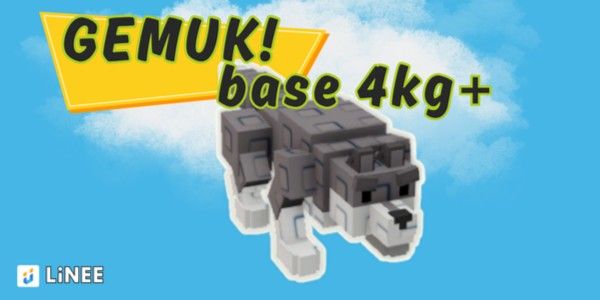 Wolf | Base 4kg+