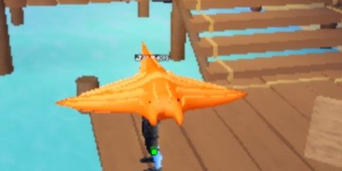 Pumpkin Ray