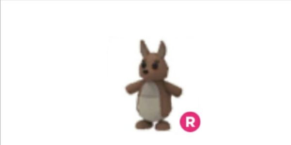 Kangaroo