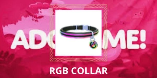 RGB COLLAR - 반려동물 액세서리