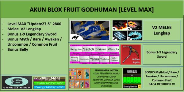 Blox Fruit GODHUMAN Account [MAX Level] [Datpol] [Not Verified]