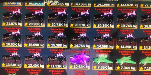 COIN 1M