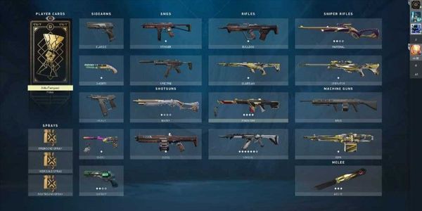 VALORANT ACCOUNT - THE REGION - LEVEL 30+ - SKINS 10+