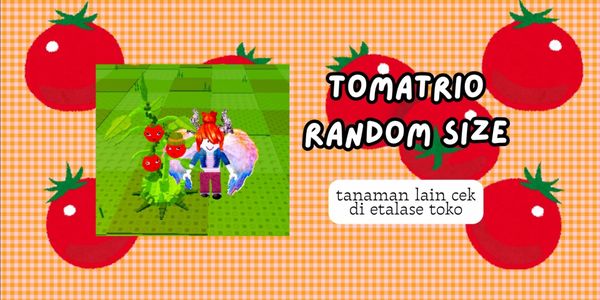 Tomatrio Plant Random Size
