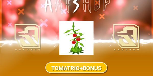 Tomatrio