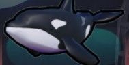 ORCA (NORMAL)