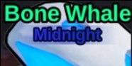 BONE WHALE (MIDNIGHT) | 232TON