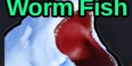 WORM FISH | LARGE ALASKAN WORM (NORMAL)