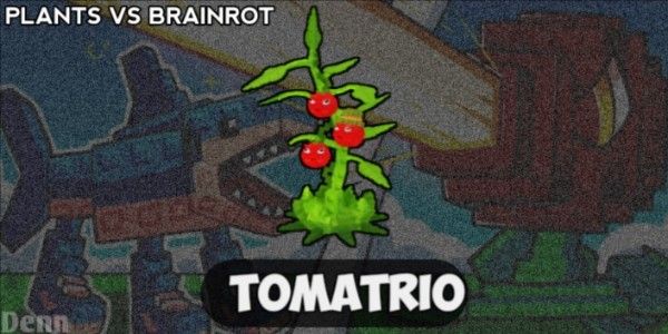 TOMATRIO