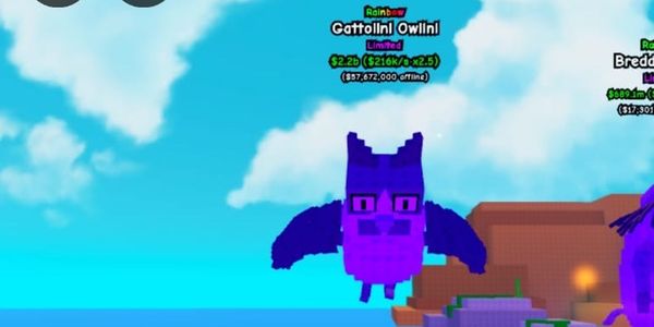 Rainbow gattolini owlisini 1%
