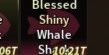 Blessed Shiny Whale Shark