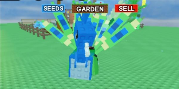 Peacock Base 2.5 Kg++ Grow A Garden