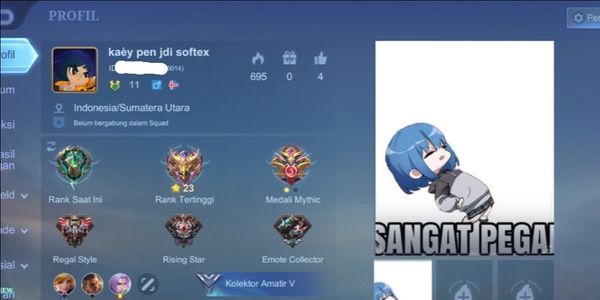 AKUN MOBILE LEGENDS MURAH WR LING