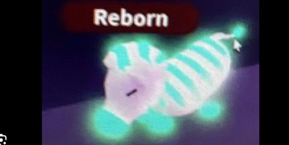 Neon Zebra