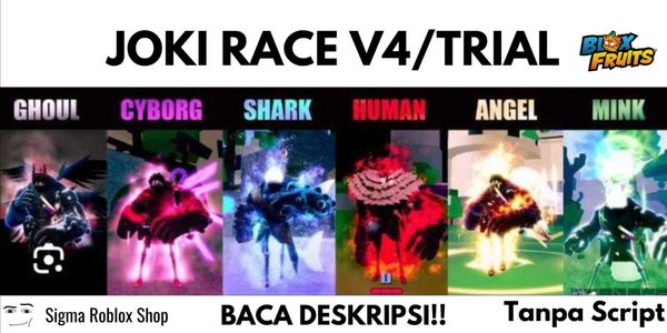 Jasa Race V4