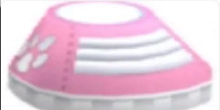 Pink Sneakers - Adopt Me