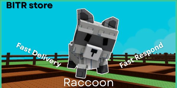Raccoon
