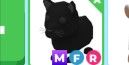 Black Panther MFR > pet Adopt me