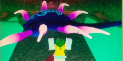 Spider
