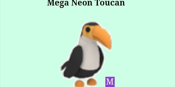 toucan mega