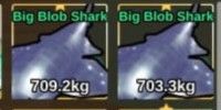 Big blob shark