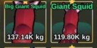 Big Qiant squid - FISH IT